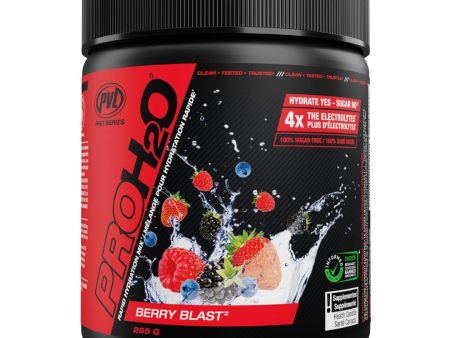 PVL Pro H20 Berry Blast (255g) Online