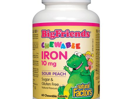 Natural Factors Big Friends Chewable Iron (60 Tabs) Online Sale