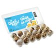 Spring Creek Quail Eggs (18 Eggs) Supply