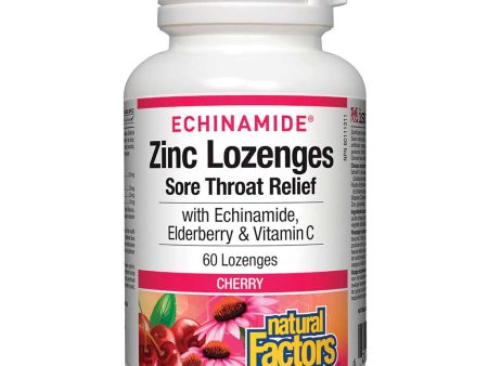 Natural Factors Echinamide Zinc Lozenges - Cherry (60 Loz) Hot on Sale