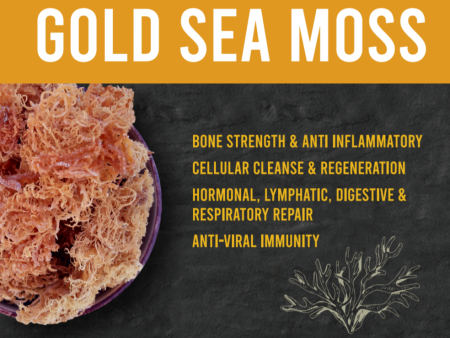 Alchemy Taste Gold Sea Moss (115g) Cheap