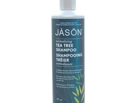 Jason Tea Tree Shampoo (517ml) Fashion