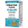 Natural Factors Critical Care Probiotic 55 Billion (80 VCaps) Online Hot Sale