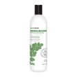 Prairie Naturals Moringa Meadows Shampoo (500ml) Discount