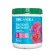 Organika Electrolyte - Wild Raspberry (350g) Online Sale