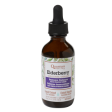 Quantum Elderberry Liquid Extract (59ml) Sale