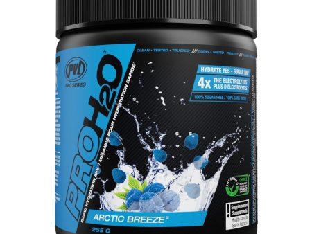 PVL Pro H20 Arctic Breeze (255g) Online now