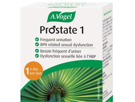 A. Vogel Prostate 1 Fashion