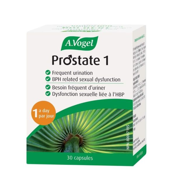 A. Vogel Prostate 1 Fashion